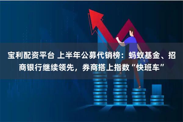 宝利配资平台 上半年公募代销榜：蚂蚁基金、招商银行继续领先，券商搭上指数“快班车”