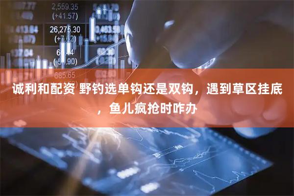 诚利和配资 野钓选单钩还是双钩，遇到草区挂底，鱼儿疯抢时咋办