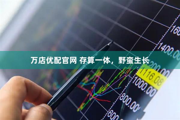 万店优配官网 存算一体，野蛮生长