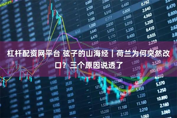 杠杆配资网平台 弦子的山海经｜荷兰为何突然改口？三个原因说透了